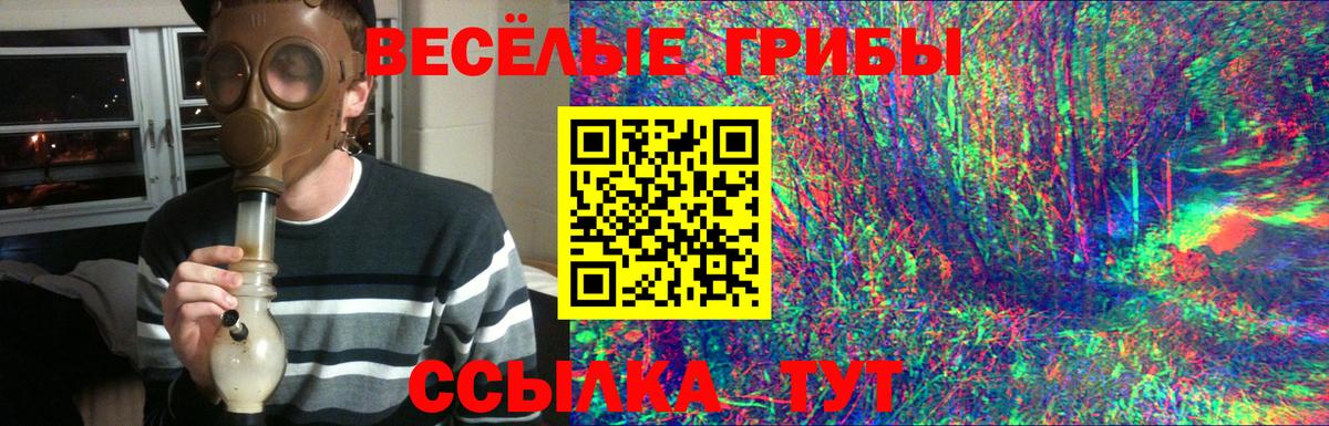 Клинцы  Галлюциногенные грибы прущие грибы  Вход с VPN 